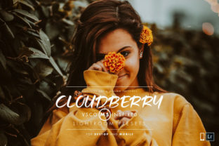Download Cloudberry Lightroom Preset - Premium Bundle