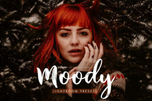 Download Moody Presets for Desktop + Mobile - Premium Bundle